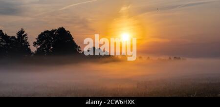 Wunderbarer, nebliger Sonnenaufgang über einer Wiese im Swidwie Reservat in Polen Stockfoto