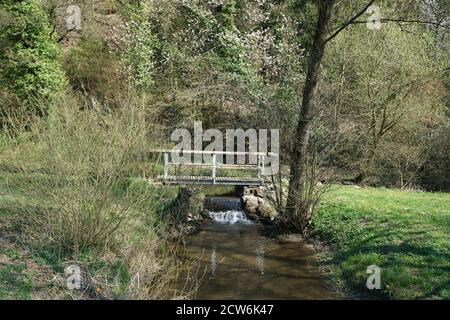 Holzbrücke im Wald, die über eine kleine führt Stream im Sommer fotografiert Stockfoto