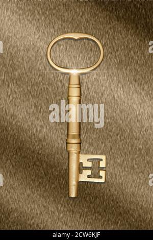 Gold-Key-Konzept Stockfoto