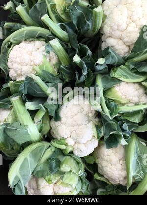 Ein Vollformat-Food-Hintergrund eines Marktstandes voll von frischen, Bio-Blumenkohl mit grünen Blättern und Kopierer Platz verpackt. Stockfoto