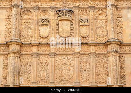 Fachada de la Universidad de Salamanca, 1529, estilo plateresco, Salamanca, comunidad autónoma de Castilla y León, Spanien Stockfoto