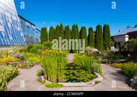 Tartu Ülikooli Botaanikaaed, Botanischer Garten, Tartu, Estland Stockfoto