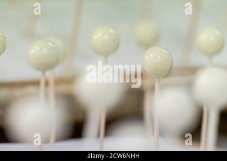 perlas secandose, fabrica de Perlas Orquidea, Montuiri, Mallorca, Balearen, spanien Stockfoto