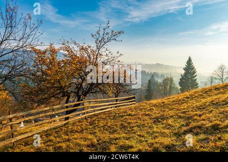 Erstaunlicher Herbst auf dem Land. Holzzaun, gelbe Bäume und Weiden im Alpendorf. Ruhige Herbstszene. Stockfoto