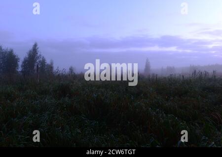 Sumpf Stille der Nacht in den Farben des frühen Herbstes Im Nebel Stockfoto
