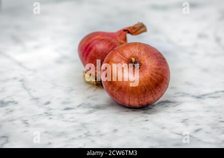 Nahaufnahme von zwei schönen und runden Zwiebeln auf einem weißen Marmortisch. Makroaufnahme Stockfoto