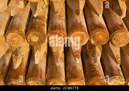 Eine Packung Holzpfosten Stockfoto