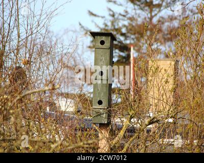 Ein hohes grünes Vogelhaus im Wolkenkratzer-Stil - es ist aus Holz gefertigt und hat drei Etagen und kleine Sitzstangen. Stockfoto