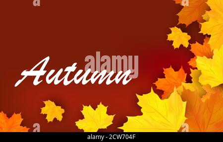 Herbstbanner mit gelben Blättern. Herbstdesign für Poster, Karte, Label. Realistische 3D-Vektordarstellung. Stock Vektor