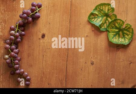 Rote Trauben und bunte Traubenblätter auf einem Holztisch im Retro-Stil. Stockfoto