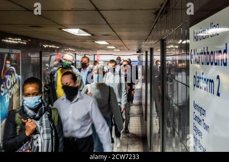 London, Großbritannien. September 2020. Die Zahl der Passagiere an der U-Bahn ist nach wie vor zurückgegangen, steigt aber jetzt an und die Züge sind moderat ausgelastet, insbesondere in der Hauptverkehrszeit. Genau wie die Regierung beginnt, ihre Coronavirus-Leitlinien (covid 19) wieder zu straffen. Diejenigen, die Reisen meist tragen Masken, nachdem sie obligatorisch auf öffentlichen Verkehrsmitteln. Kredit: Guy Bell/Alamy Live Nachrichten Stockfoto