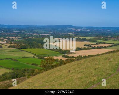 Harting Down ist eines der größten Gebiete der Antike Chalk Downland im Besitz des National Trust und ein Teil von Das Sussex Downs Gebiet von herausragender Natura Stockfoto