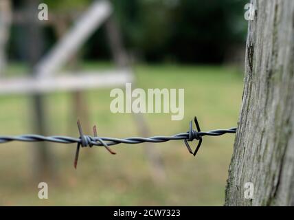 In der Nähe von Stacheldraht schützen ein Feld Stockfoto
