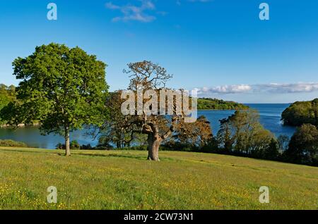 Blick auf den Fluss fal und carrick Roads in cornwall, england Stockfoto