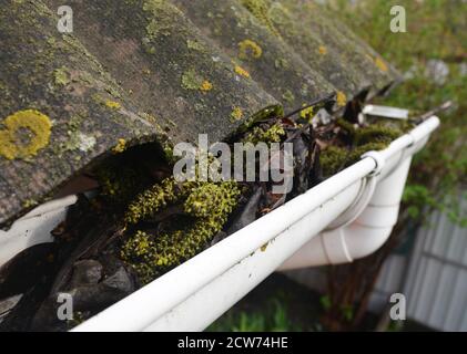 Verstopfte Dachrinnen und Regenrinnen mit alten Blättern, Schmutz, Moos und Flechten verursachen Dachlecks und beschädigen das Haus. Stockfoto