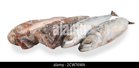 Gefrorene Makrele und Seehecht isoliert auf weißem Hintergrund. Auswahl an gefrorenen Fischen. Gruppe von Fischkadavern. Seitenansicht. Stockfoto
