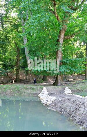 Ernstbrunn, Niederösterreich, Österreich. Eichen im Zoo Stockfoto