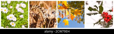 Frühling, Sommer, Herbst, Winter. Vier Jahreszeiten Panorama Collage Stockfoto