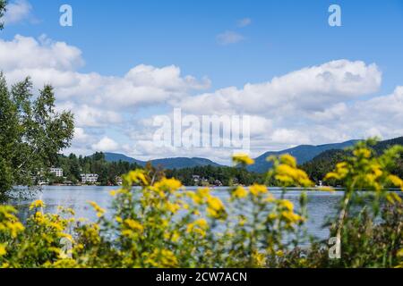 Gelbe Blumen gegen Mirror Lake in Lake Placid, NY Stockfoto