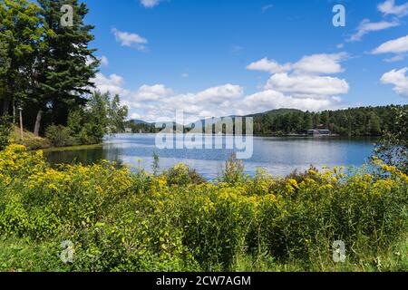 Gelbe Blumen und Grünflächen vor dem Mirror Lake und der Stadt Lake Placid, NY Stockfoto