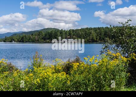 Gelbe Blumen und Grünflächen vor dem Mirror Lake und der Stadt Lake Placid, NY Stockfoto