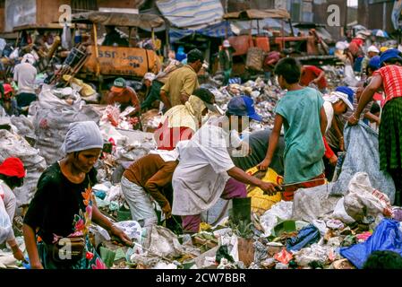 Plünderer sammeln Müll an Müllkippe in Metro Manila, Philippinen Stockfoto