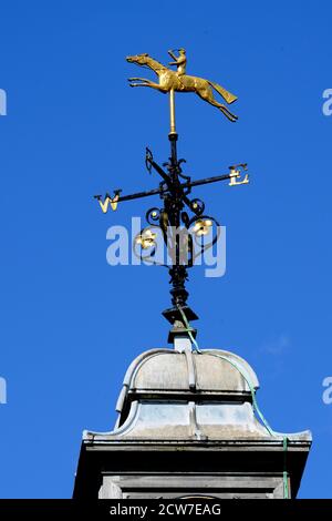 Newmarket Rennbahn Wetter Vane Suffolk U.K. Stockfoto