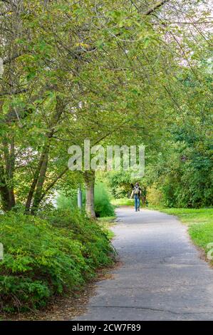 POZNA, POLEN - 11. Sep 2020: Wanderweg mit einer Wanderperson entlang grünem Gras und Bäumen im Stare Zegrze Nachbarland. Stockfoto