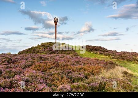 Heather bei Danby Beacon auf den North York Moors Stockfoto