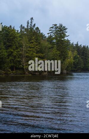 Ein von Bäumen gesäumter See an einem düsteren Tag in Lake Placid, NY Stockfoto