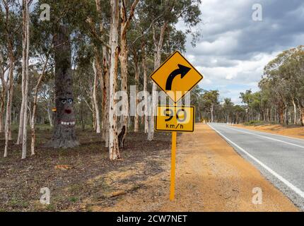 Bemaltes Gesicht auf einem Jarrah-Baumstamm in der Nähe des Großen Southern Highway York Western Australia Stockfoto