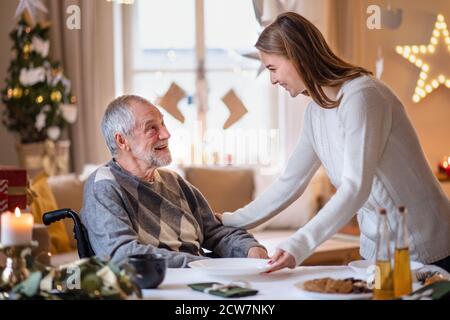 Junge Frau mit älteren Großvater im Rollstuhl drinnen zu Hause zu Weihnachten. Stockfoto