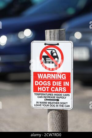Hunde sterben in heißen Autos Warnschild auf einem Parkplatz in Dorset, Großbritannien Stockfoto