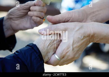 Helfende Hände. Pflege für das elderliche Konzept. Zwei Hände der Frau. Stockfoto