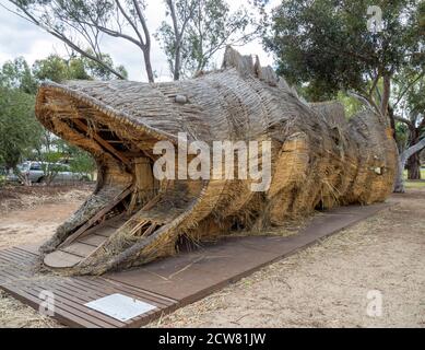 Weizenstroh Skulptur von Murray cod entworfen von Shingo Miyajima und Masaharu Noguchi Wara Art Trail York Western Australia. Stockfoto