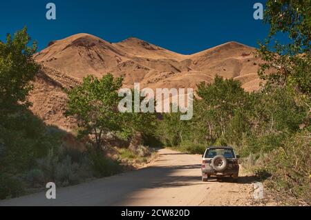 Straße nach Silver City in Owyhee Mountains, Idaho, USA Stockfoto