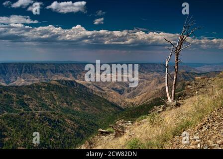 Summit Ridge über Hells Canyon vom Heavens Gate Lookout in Seven Devils Mountains, Idaho, USA Stockfoto