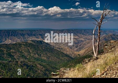 Summit Ridge über Hells Canyon vom Heavens Gate Lookout in Seven Devils Mountains, Idaho, USA Stockfoto