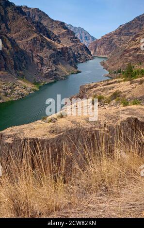 Boot am Hells Canyon Reservoir am Snake River, Blick von Black Point, Hells Canyon, Idaho-Seite an der Grenze zwischen Idaho und Oregon, USA Stockfoto