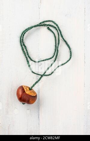 Conker mit Gewinde auf Schnur auf weißem Holzbrett Stockfoto