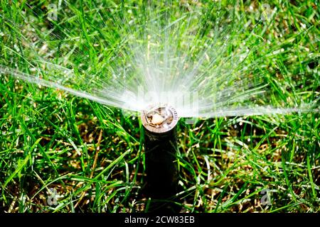 Sprinklerschutz versprühen frischen Nass Wasser auf üppigen grünen Garten Rasen Gras Stockfoto