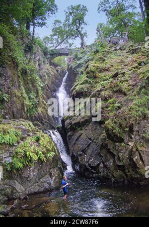Aira Force, Wasserfall in der Nähe der Pooley Bridge, Cumbria Stockfoto