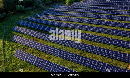 Solarkraftwerk in Green Field am Sonnentag. Luftaufnahme. Solarmodule stehen in einer Reihe im Feld für die Stromerzeugung. Drohne fliegen über Solar Farm Stockfoto