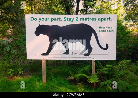 Tun Sie Ihren Teil. Bleib 2 Meter auseinander Schild mit dem Profil eines Cougar (Berglöwen) in schwarz, um anzuzeigen, wie weit 2 Meter ist. Stockfoto
