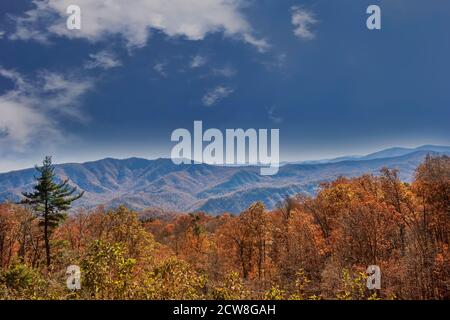 Herbstfarben und die Blue Ridge Mountain Range in North Carolina. Stockfoto