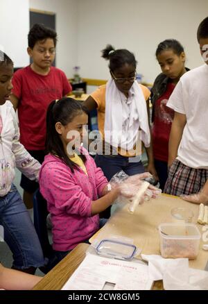 Pflugerville, TX 2. Juni 2008: Schüler machen Lumpia, ein traditionelles Essen der Phillipinen während des "Diversity Day" der Park Crest Mittelschule mit ethnischem Essen, Skits, Gedichtlesungen und Musik für Schüler der 6. Bis 8. Klasse. ©Bob Daemmrich Stockfoto