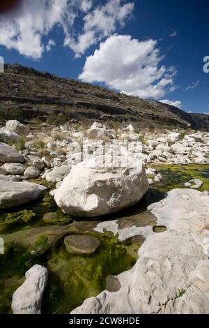 Langtry, TX 13. März 2008: Kalksteinbrocken säumen den Bachkanal durch den Dead man's Canyon am Pecos River im Val Verde County im Südwesten von Texas. Der abgelegene Fluss ist in den kühleren Monaten des Jahres ein beliebter Angel- und Campingplatz für Outdoor-Enthusiasten. ©Bob Daemmrich Stockfoto
