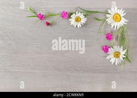 Blumenzusammensetzung.der Rahmen besteht aus Blumen von Kamillen und Phlox. Flach liegend, Draufsicht. Freier Speicherplatz für Text. Stockfoto