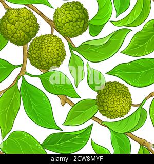 calodendrum-Vektormuster Stock Vektor