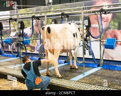 PARIS, FRANKREICH - MÄRZ CIRCA, 2020. Melkstandsrobotik auf dem Internationalen Landwirtschaftstreffen in Paris, Frankreich. Verwendung von Landwirten, um Kühe zu melken Stockfoto